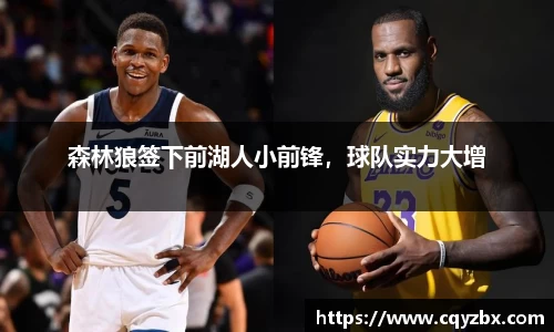 森林狼签下前湖人小前锋，球队实力大增
