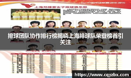排球团队协作排行榜揭晓上海排球队荣登榜首引关注