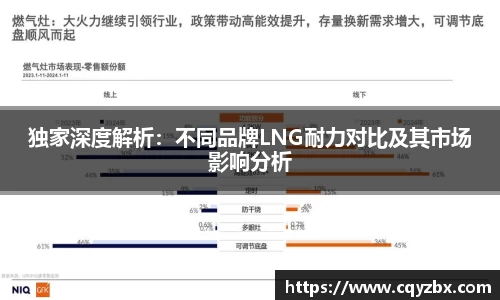 独家深度解析：不同品牌LNG耐力对比及其市场影响分析